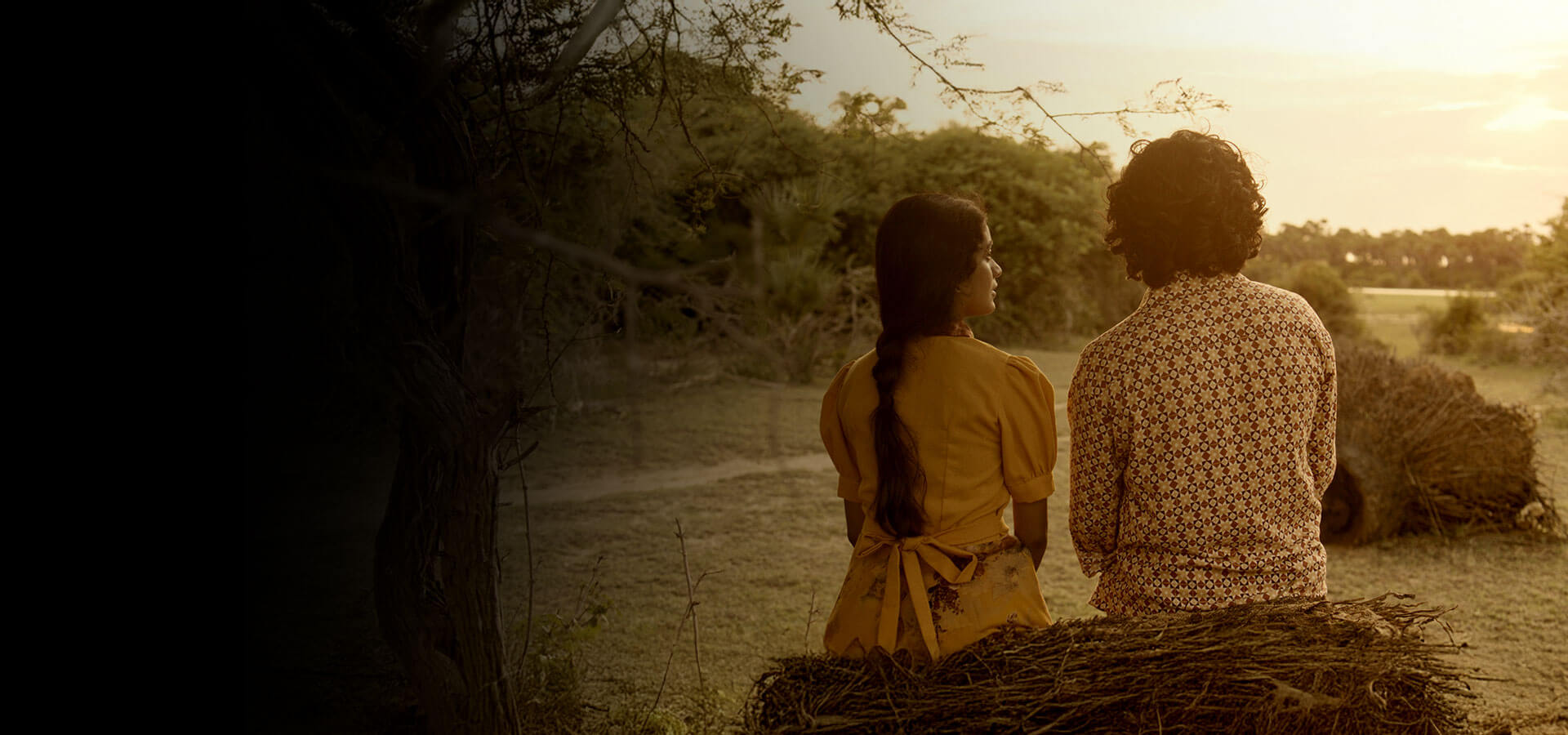 film-background-bg-min